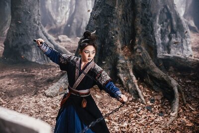 Invincible swordsman
