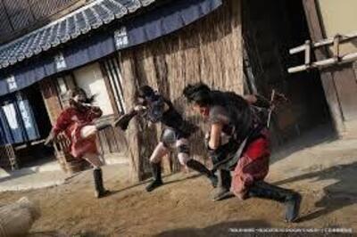 Ninja wars. Blackfox vs shogun's ninja